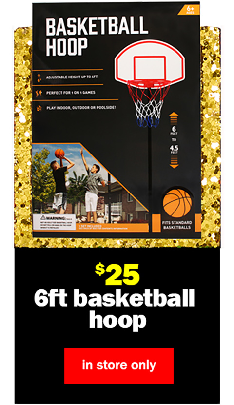 $25 6-foot basketball hoop. in store only.