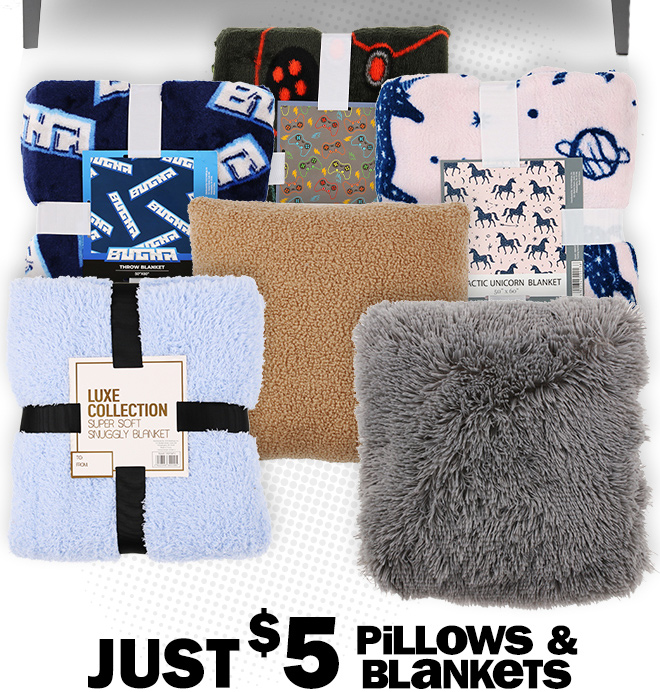 just $5. pillows and blankets