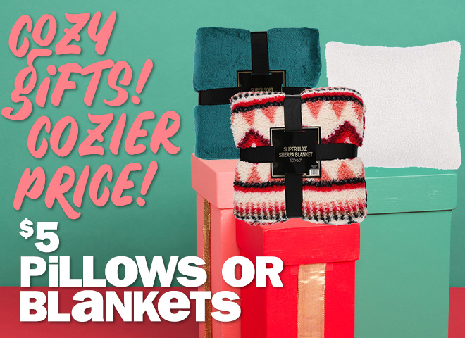 cozy gifts! cozier price! $5 pillows or blankets