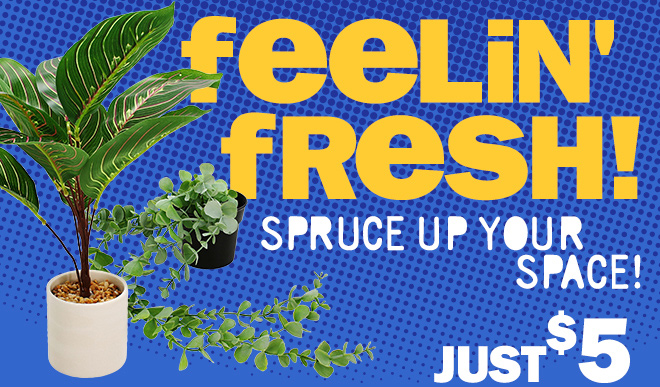 feelin' fresh! spruce up you space! just $5