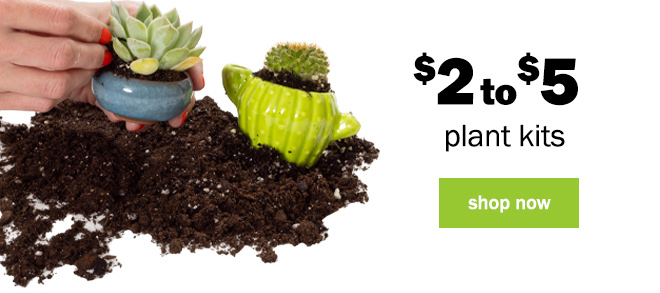 $2 to $5 plant kits